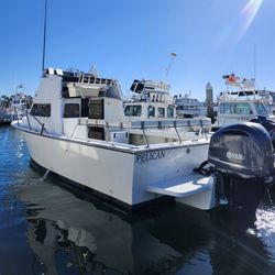 1986 Blackman Billfisher