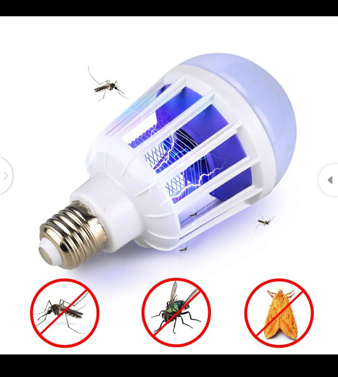 Insect catching bulb for home and yard