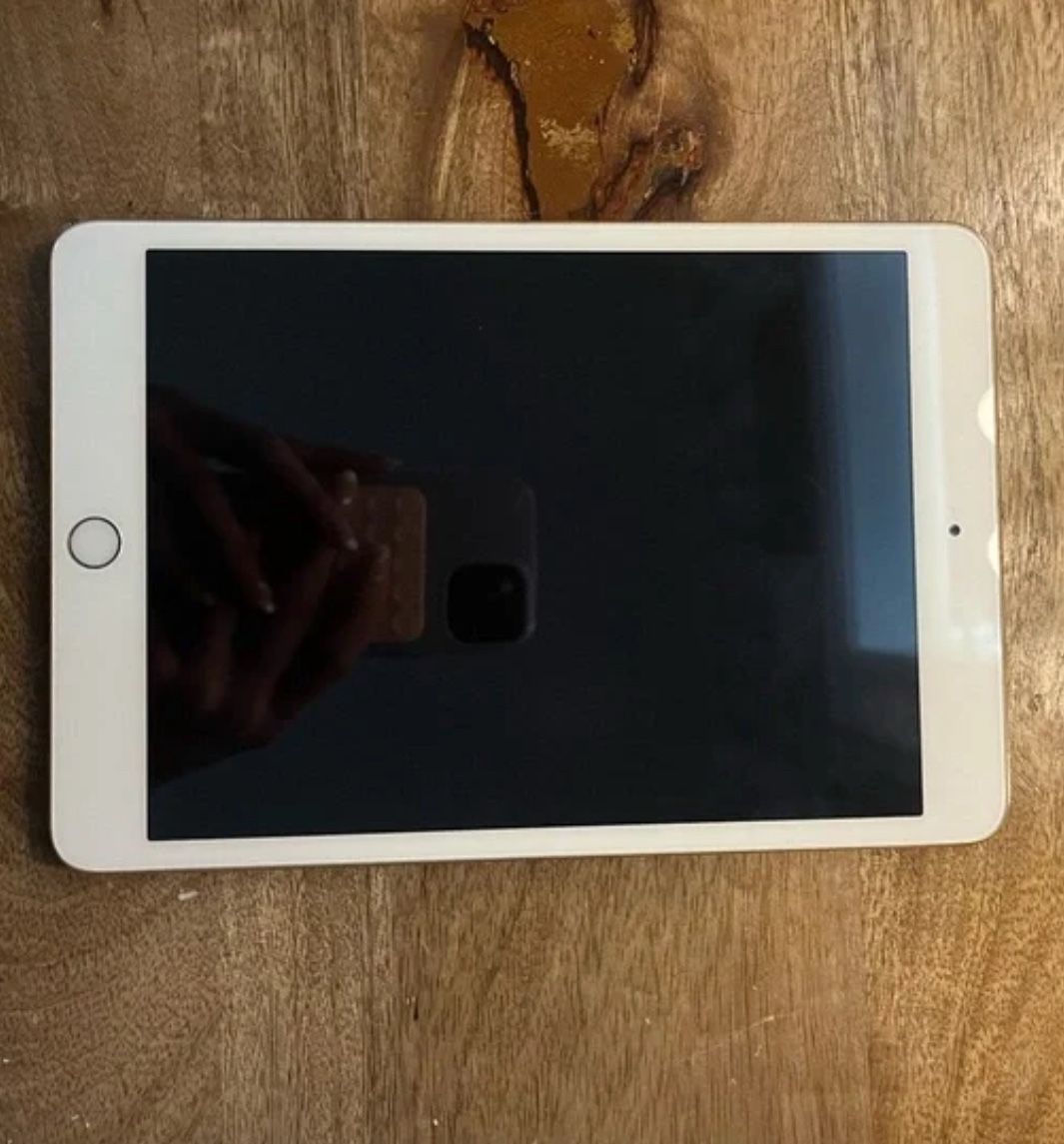 iPad Mini 3
