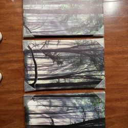 Wall26 Canvas Printed Mural Set: Sunlight filters through a misty, green forest; natural wilderness photography; modern art; contemporary style; multi