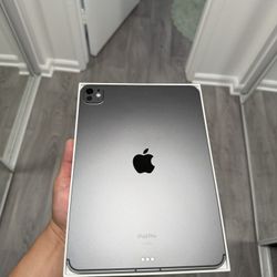 Ipad Pro 11 Inch 4m 256gb