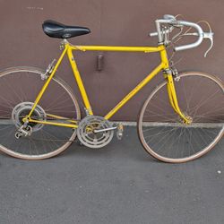 Schwinn 