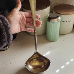Leonard's Silverplated Dual Spout Ladle