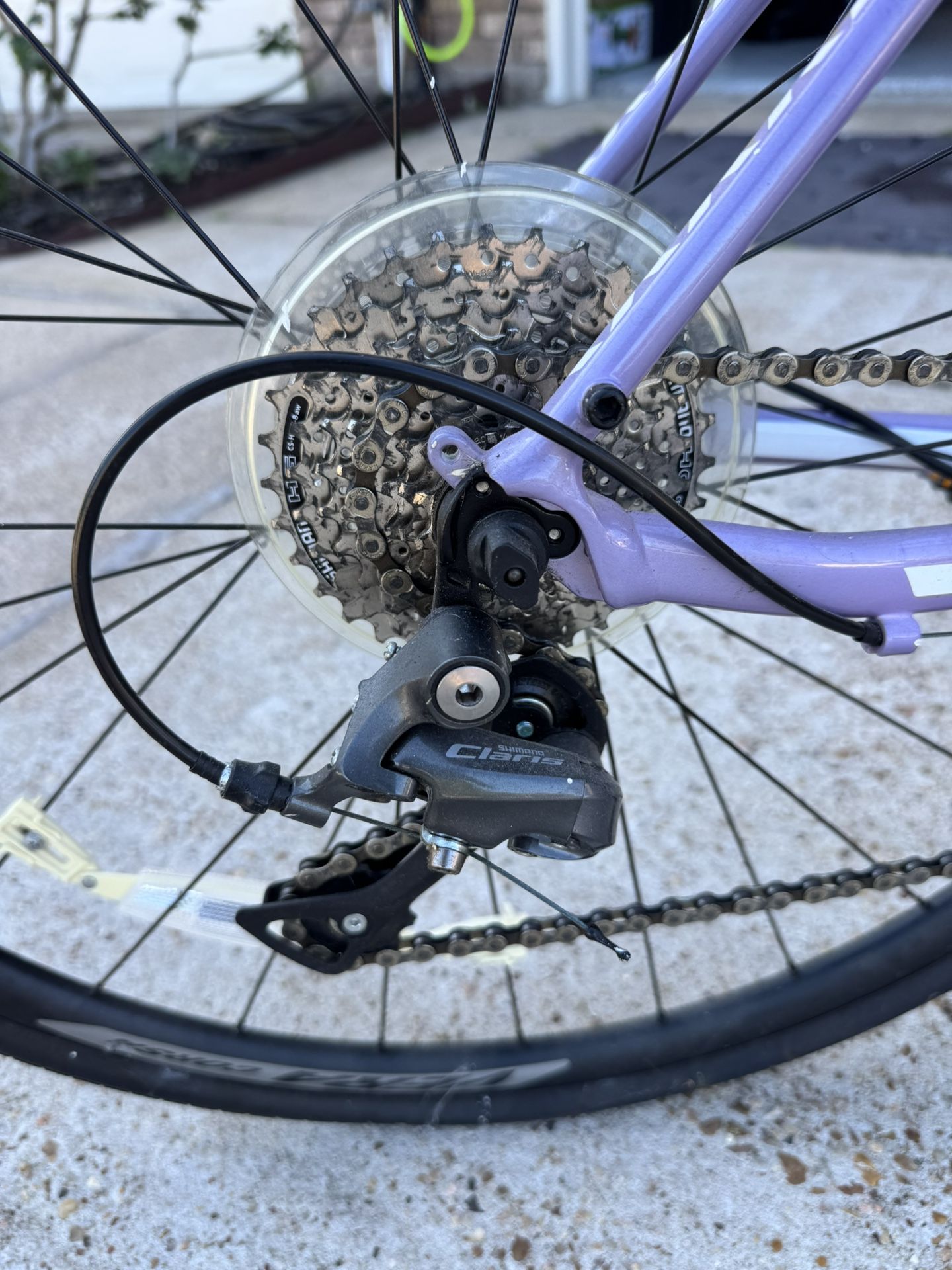 Fuji Female Road Bike