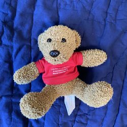 Teddy Bear Plush