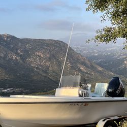 Mako/suzuki 2020 175df Mako 20 feet