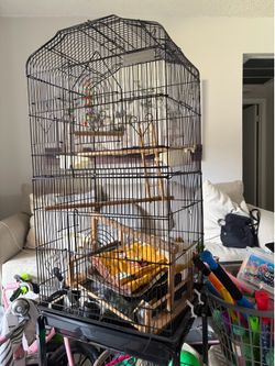 Cage