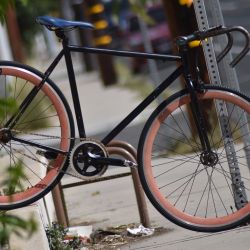 Fixie