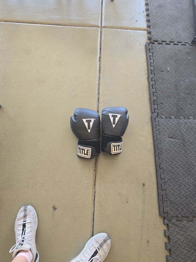 Title Boxing Heavy Bag And Boxing Gloves
