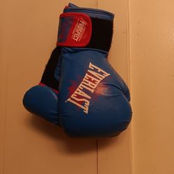 !! Boxing Gloves  Everlast  8oz Size Small 