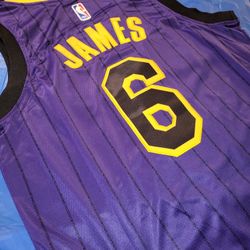 Lebron James- Los Angeles Lakers - Purple Jersey
