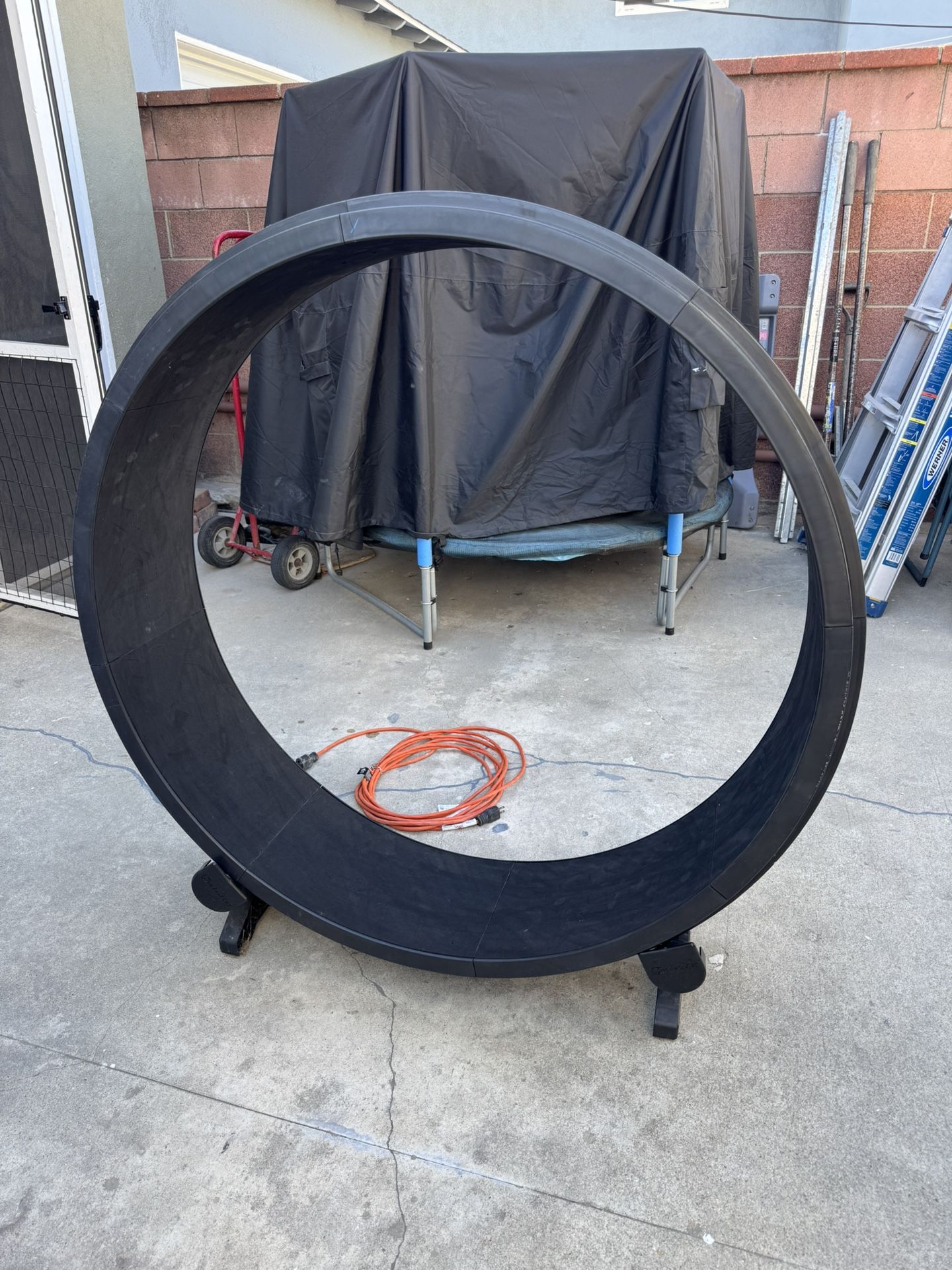 Cat Wheel