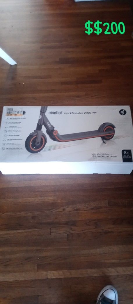 Ninebot Ekickscooter zing