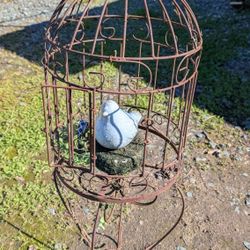 41" Rustic Metal Birdcage Plant Stand with Decorative Blue Bird
