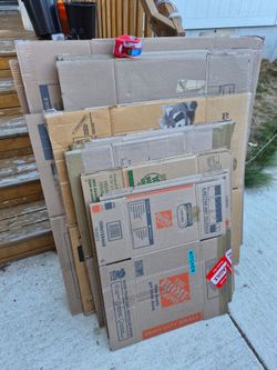 Professional Moving Boxes