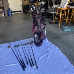 Golf Clubs 18 Ping Callaway Taylor Made Top Flight Clubs With New Bag