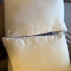 Used Pillows For Queen Beds