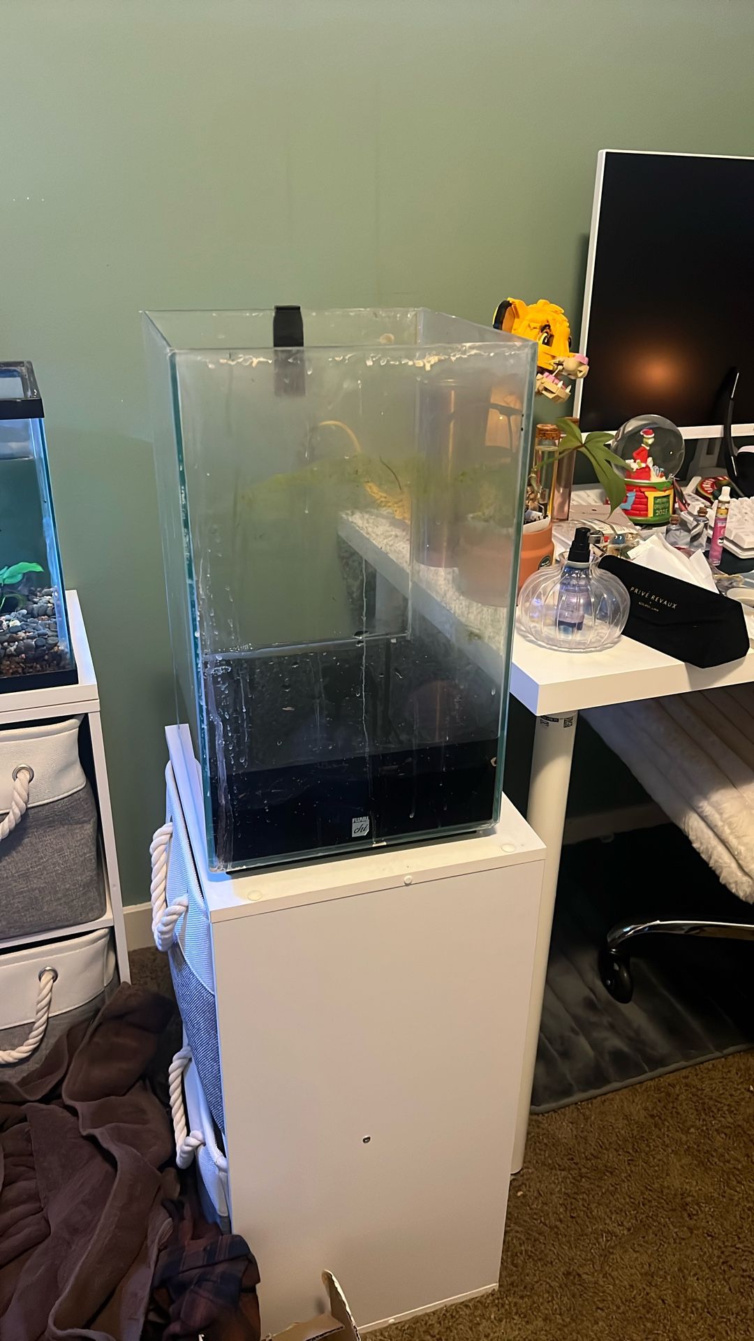 10 Gallon Rimless Tank