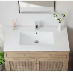 Dayton 37 in. W x 22 in. D Vitreous China Vanity Top in White with Single Faucet Hole (Sink Only) @pal-362
