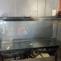 55 Gallon Fish, Reptile, Tank 
