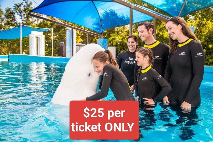 SeaWorld Tickets For Sea World San Diego, 1 Day Pass, Best Deal🐬🐬🐬