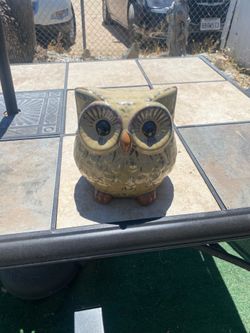Owl