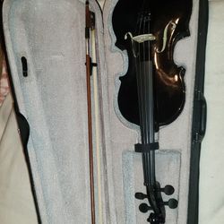 Violin Bow And Hard Case