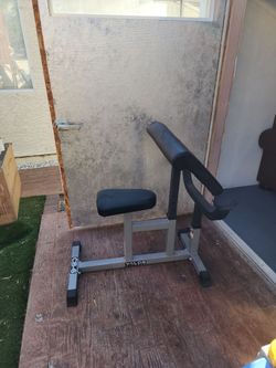 Preacher curl bench