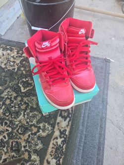 Nike premium sb dunk with box