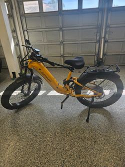 Puckipuppy Boxer ST Ebike