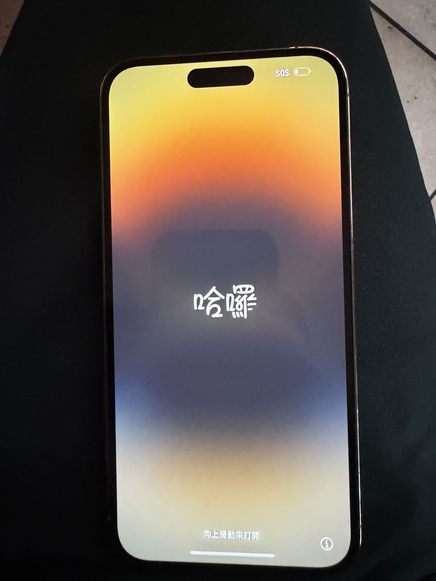 iPhone 14 Pro Max