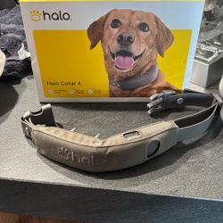 Halo 4 Collar