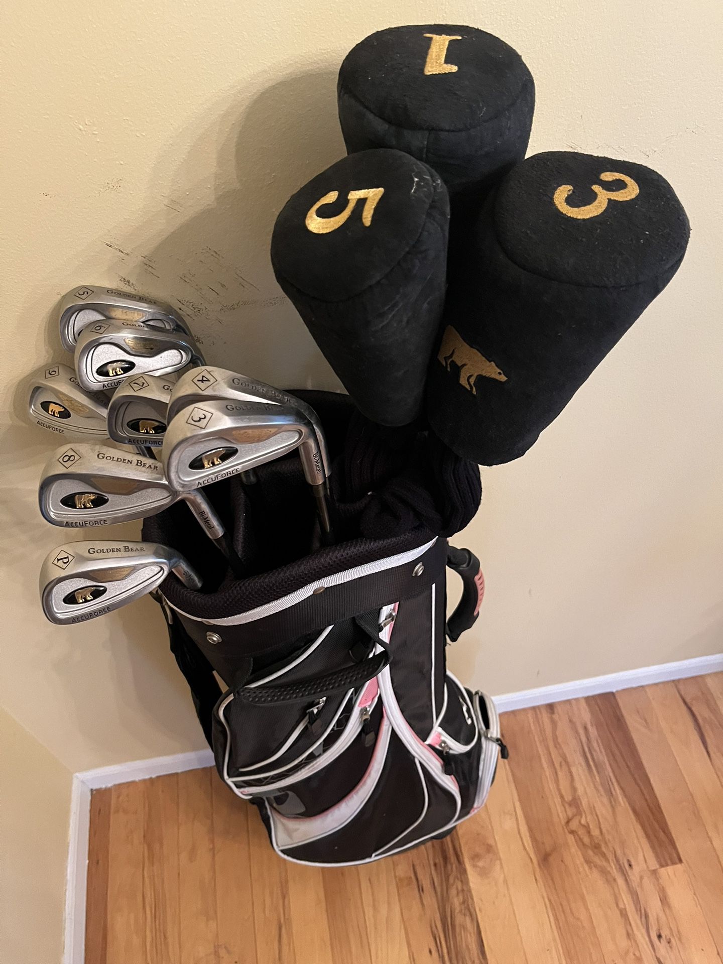 Ladies Golf Clubs And New Golf Bag