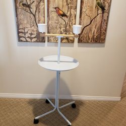 Bird PLAYSTAND 