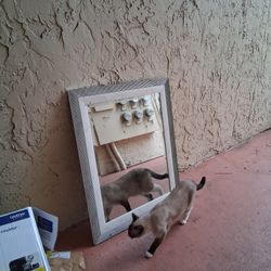 Big Mirror 