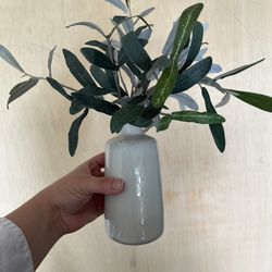 Small Vase + Olive Stems 