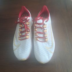 Nike Air Zoom Pegasus San Francisco 49ers
