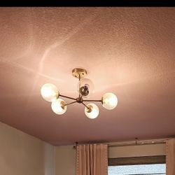 Light Fixture