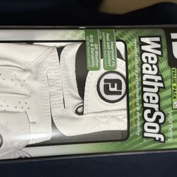 Foot Joy Weathersof  Womens Golf Gloves