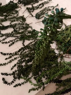 Artificial Greenery Vine Stems Bundle