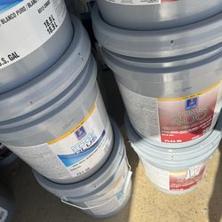 Pintura flat eggshell semigloss Paint & Supplies