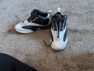 Allen Iverson Basketball Shoe