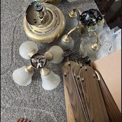 Ceiling Fan