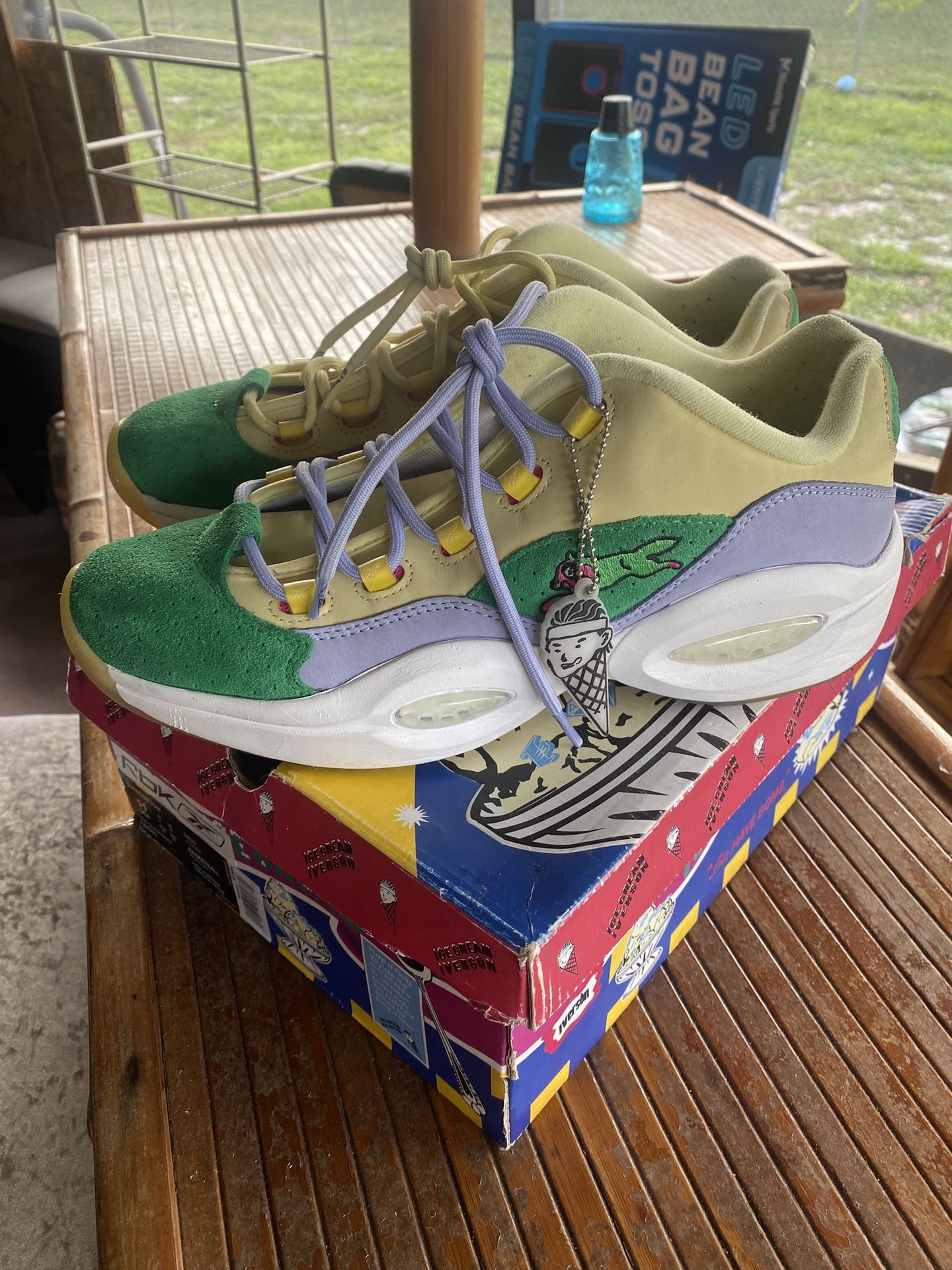 Exotic Allen Iverson Low Running Dog Collab