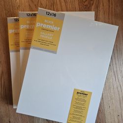 Art Supplies- Gallery Wrapped Canvad