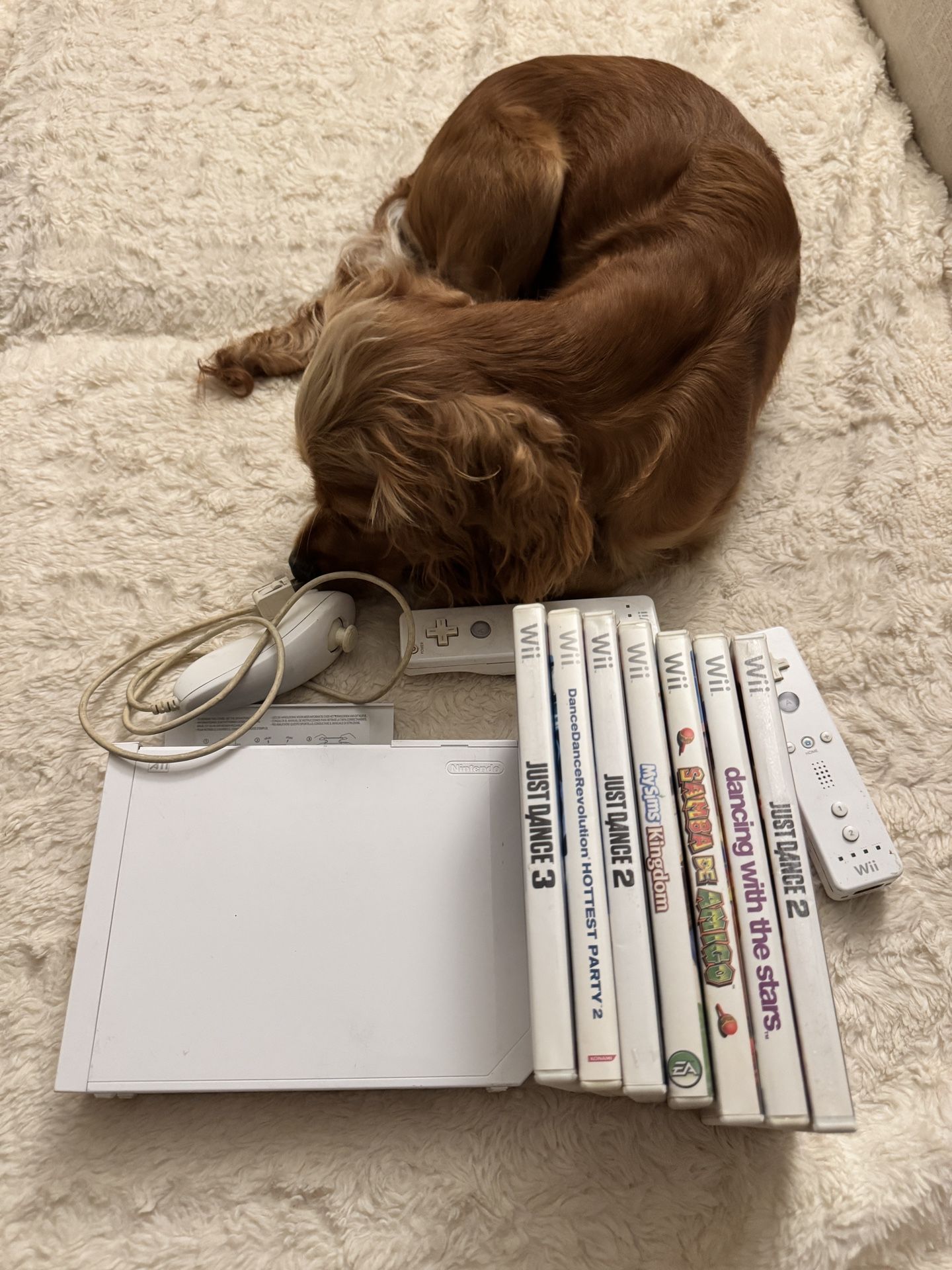Wii Console Bundle