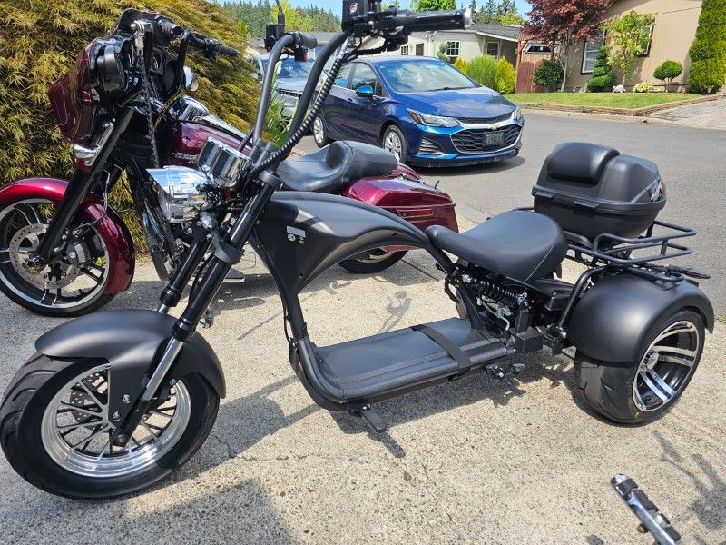 2024 Mangosteen M1P Electric Trike