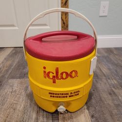 Igloo Drinking Cooler