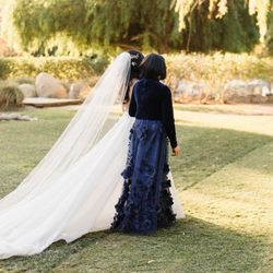 Wedding Veil (Long!)