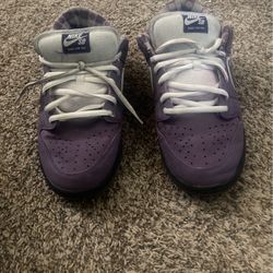 Shoes, Sneaker, Purple Lobster SB Dunk Low Size 10